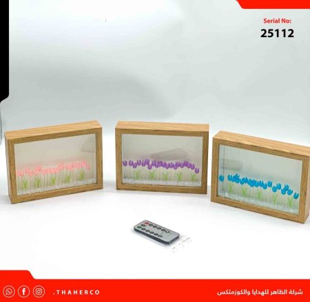 برواز مضيء USB